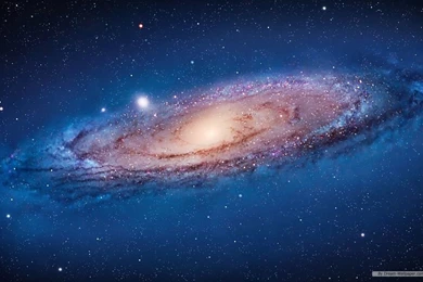 Free Wallpapers Free Nature Wallpapers Mac OS X The Lion Apple ...