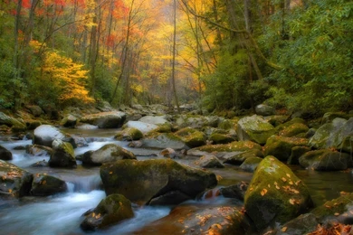 11724) Helicopter High Definition Wallpapers Attachment WalOps.com