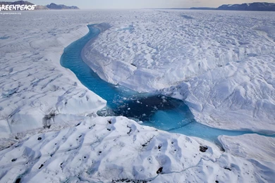 Wallpapers And Screensavers