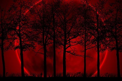 Red And Black More Wallpapers 1600x1200px