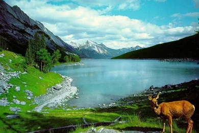 Beautiful Nature Wallpapers Of Nature 1024x768px