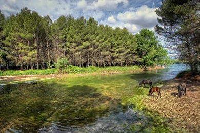 Download Wallpapers 1920x1080 Castellon, Valencia, Spain, River ...