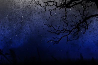 Top Night Star Hd Wallpaper Images For Pinterest