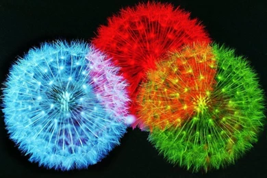 3d Desktop Wallpapers Hd Desktop Backgrounds Wallpapers Hd