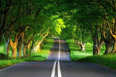 3d Moving Animated Wallpapers 7