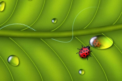 Laptop Wallpapers Download Desktop Backgrounds