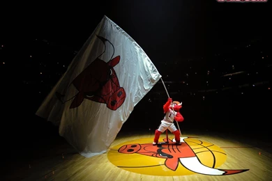 Top Free Chicago Bulls Desktop Images For Pinterest