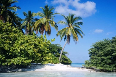 YouWall Tropical Island Wallpapers Wallpaper,wallpapers,free ...