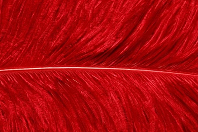 Red wallpaper 10.jpg