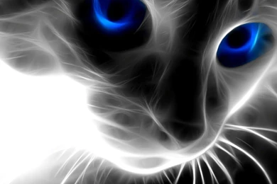 Full Hd 3D Widescreen Wallpapers (6) Funny And Amazing Wallpapers.