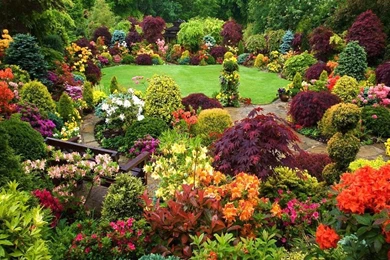 Beautiful Flower Garden Wallpapers Crazy Frankenstein