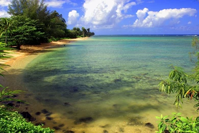 Wallpapers Nature New Hd