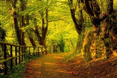 1024x768 It's Autumn Desktop PC And Mac Wallpapers