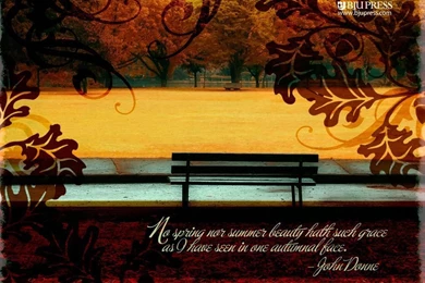 Autumn Wallpapers 179838