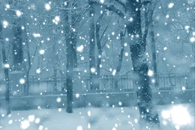 Winter Park Wallpapers Crazy Frankenstein