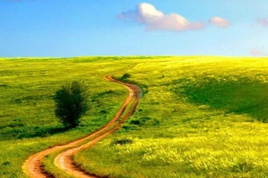 5 Outstanding iPhone 6 Plus Full HD Nature Wallpapers I Am Qurat