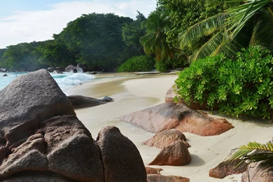 Hd Nature Wallpapers, Green, Download Hd Images, Flowers, Plants ...