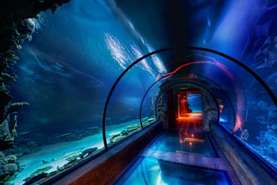 Underwater Backgrounds