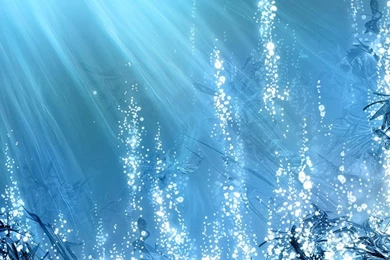 Underwater Nature Hd Wallpapers (