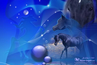 Free PC Wallpapers Desktop Backgrounds All Wallpapers New