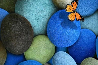 1080 X 1920 Wallpapers