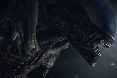 Download Wallpapers 1920x1080 Alien Isolation, PC, Playstation 3 ...