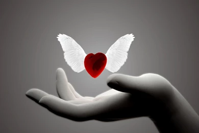 Desktop HD Wallpapers Beautiful Desktop Wallpapers Hd ...