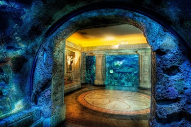 Download Aquarium HDR Wallpapers Wallpapers Printed
