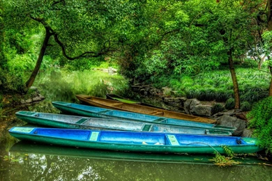 All Free Download Com Wallpapers Full Hd Wallpapers Search