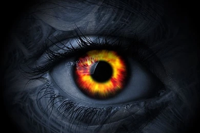 Amazing Wallpapers Wallmanage.com