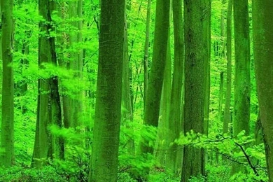 HD 640x960 Cool iPhone 4 Wallpapers Img 9