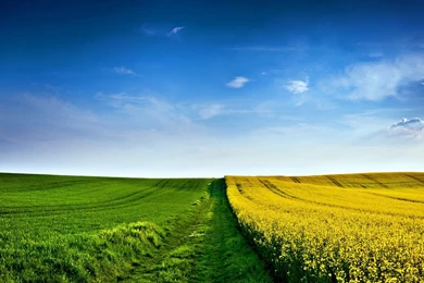 15 Wonderful HD Field Wallpapers HDWallSource.com