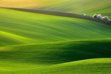 Texas Wallpapers 04 – HD Wallpaper, Wallpapers Pics The Best ...