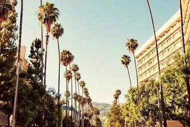 California Iphone Wallpapers