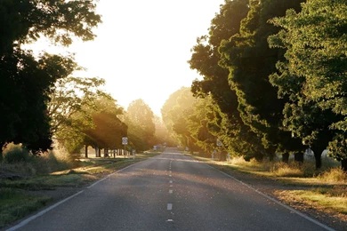 Theme Bin» Blog Archive » Dawn On The Great Alpine Road HD Wallpapers