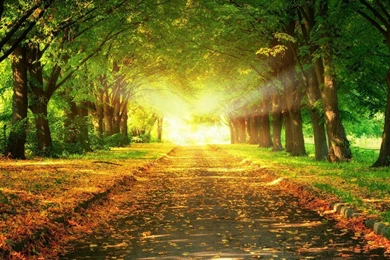 Light At The Road HD Wallpapers HD Wallpapers