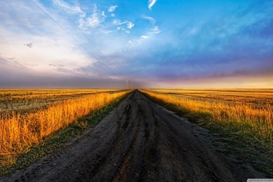 Field Road HD Desktop Wallpapers : Widescreen : High Definition ...