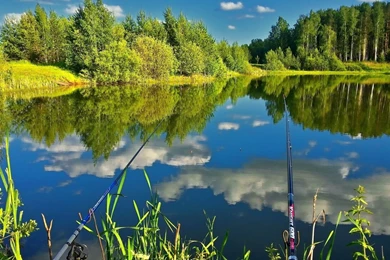 Fishing In The Calm Pond Wallpapers Nature Wallpapers