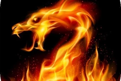 Dragon Wallpapers, Themes And Backgrounds Download Free HD ...
