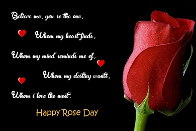Happy Rose Day 2016 Images With Quotes HD Download Best Whatsapp ...
