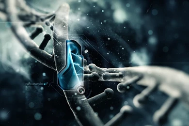 Download Wallpapers HD CuteWallpaper.org