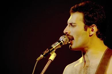 Wallpapers Freddy Queen Freddie Mercury 1366x768