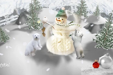 Babies Bear Beautiful Bears Snowman Winter Christmas Pretty Cute ...