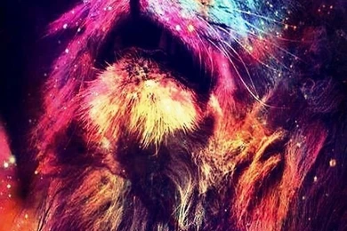 Gallery For Abstract Lion Wallpapers