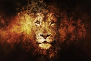 Wallpapers Abstract Lion 1280 X 1024 Animals Pets Puppies ...