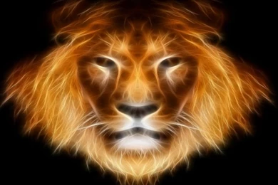 Gallery For Digital Lion Wallpapers