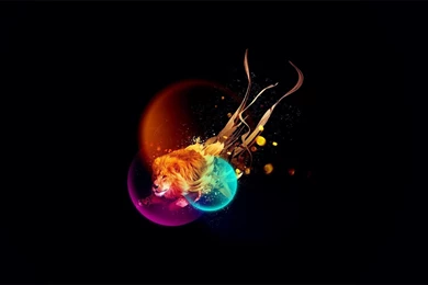 Colorful Abstract Lion Wallpapers