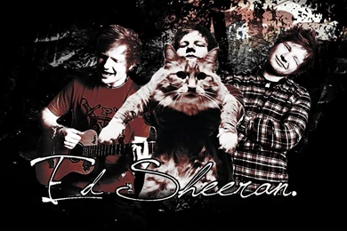 Ed Sheeran Wallpapers Ed Sheeran Photo (31578759) Fanpop