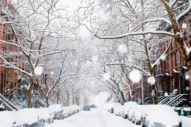 Download Wallpapers Winter In The City (1920 X 1080 HDTV 1080p ...