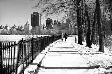 Winter In The City Wallpaper.jpg